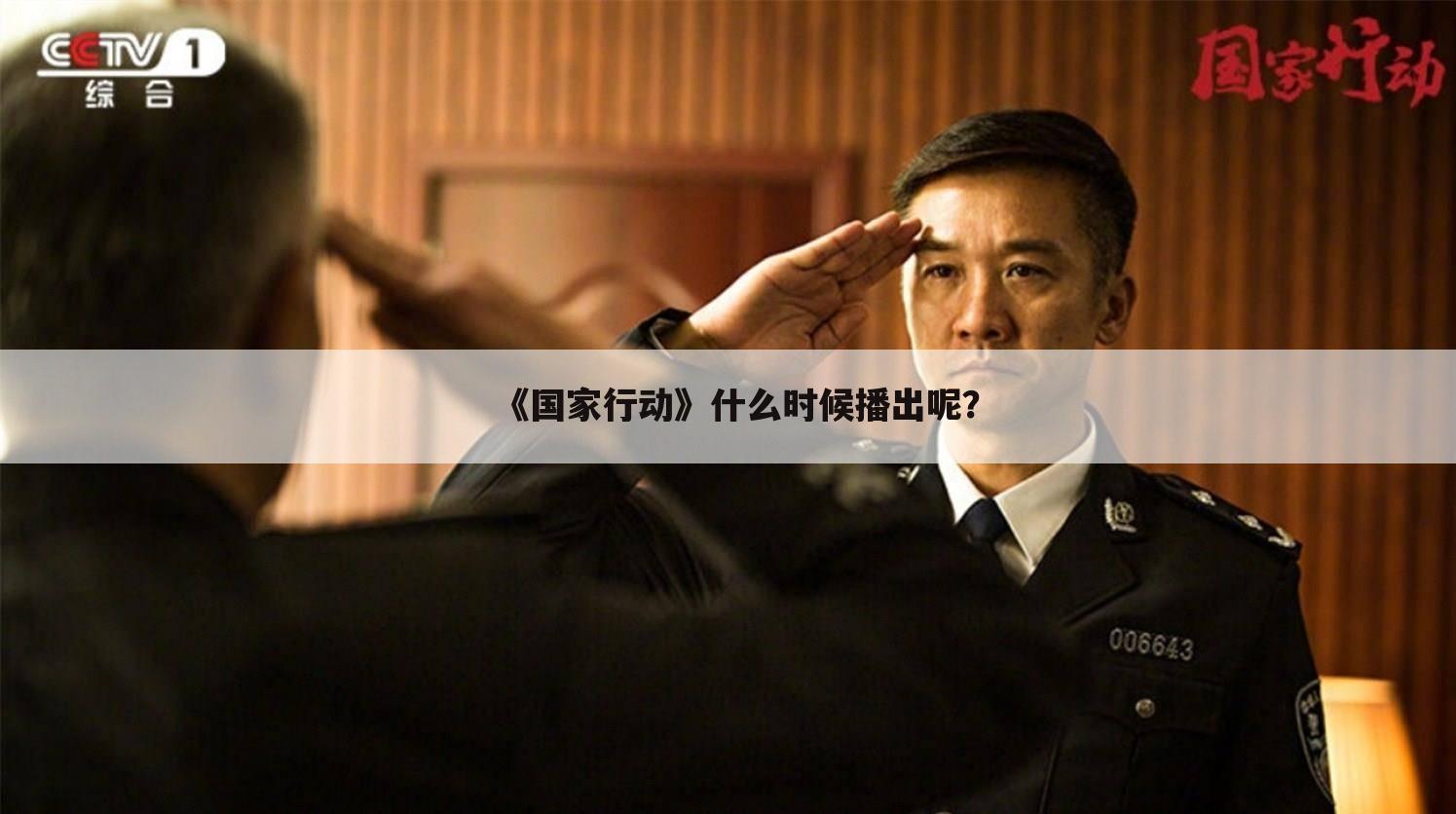 《国家行动》什么时候播出呢?