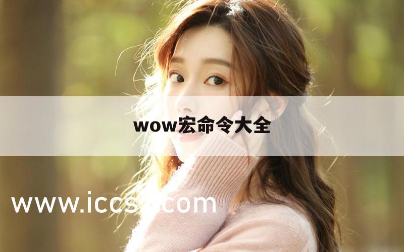 wow宏命令大全