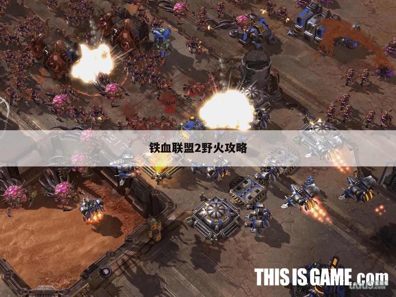 铁血联盟2野火攻略