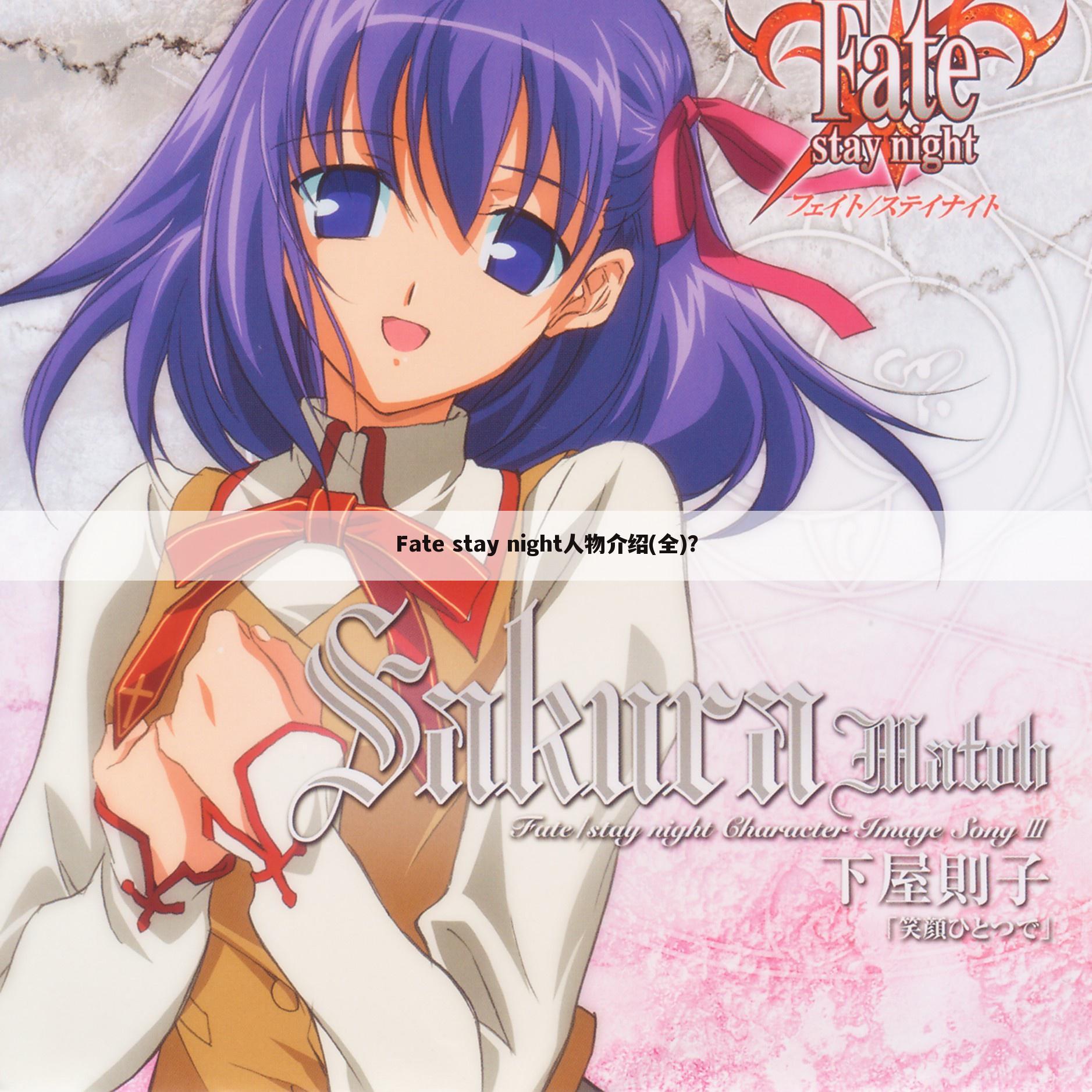 Fate stay night人物介绍(全)?