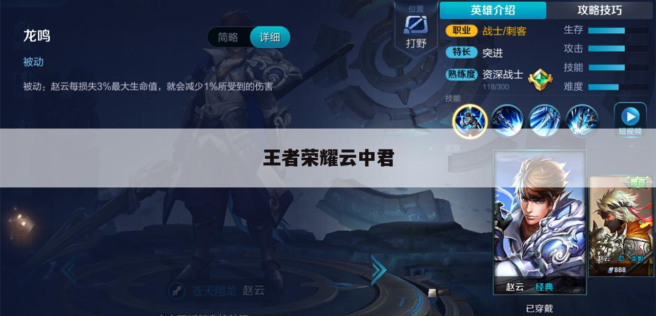 王者荣耀云中君