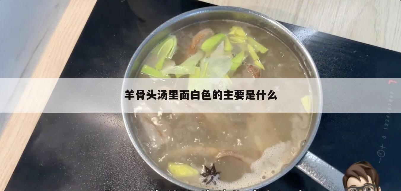 羊骨头汤里面白色的主要是什么