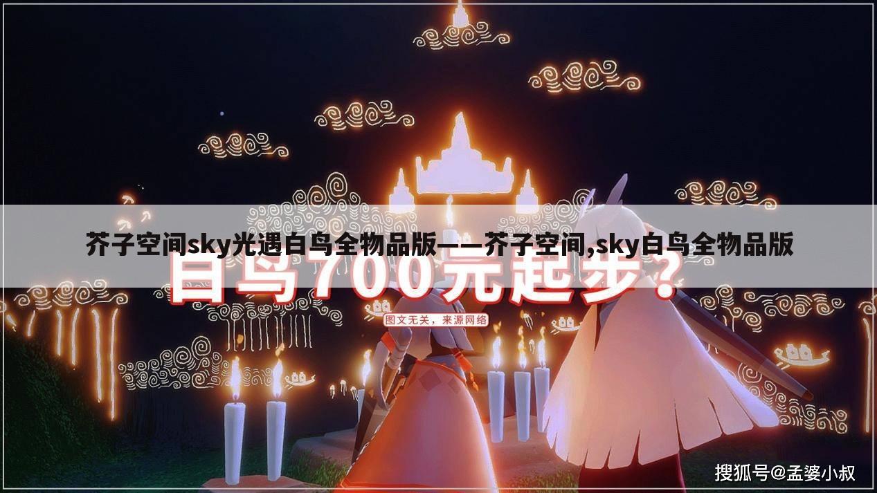 芥子空间sky光遇白鸟全物品版——芥子空间,sky白鸟全物品版