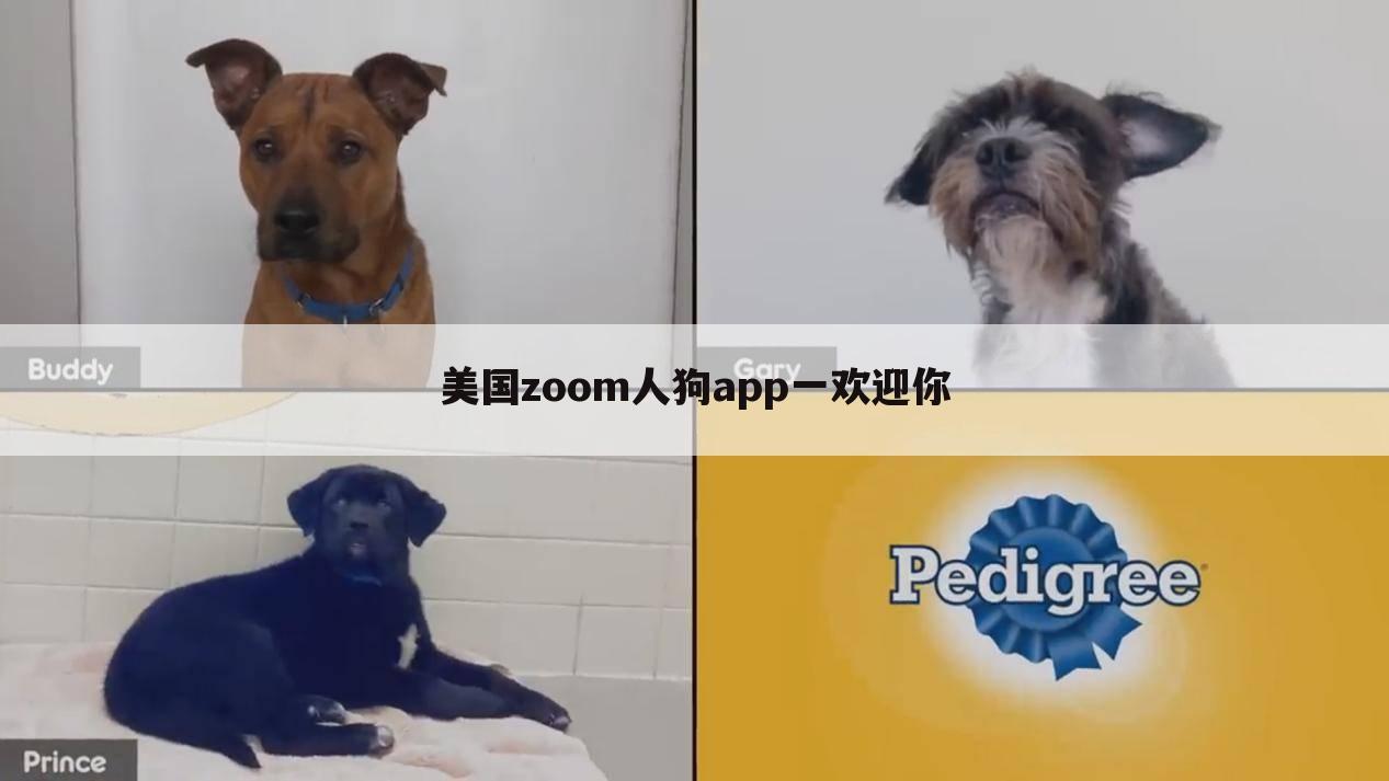 美国zoom人狗app一欢迎你