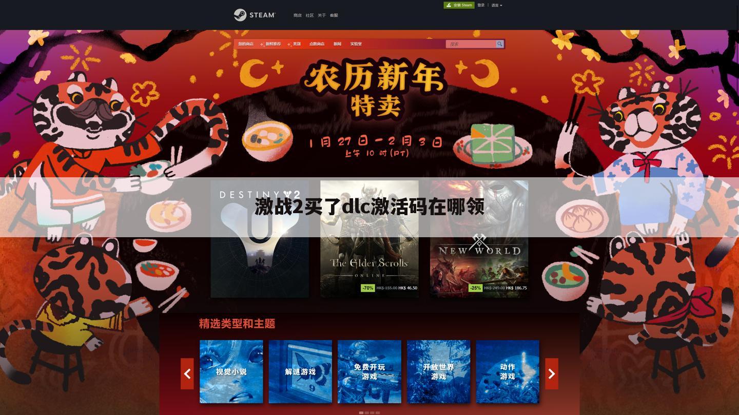 激战2买了dlc激活码在哪领