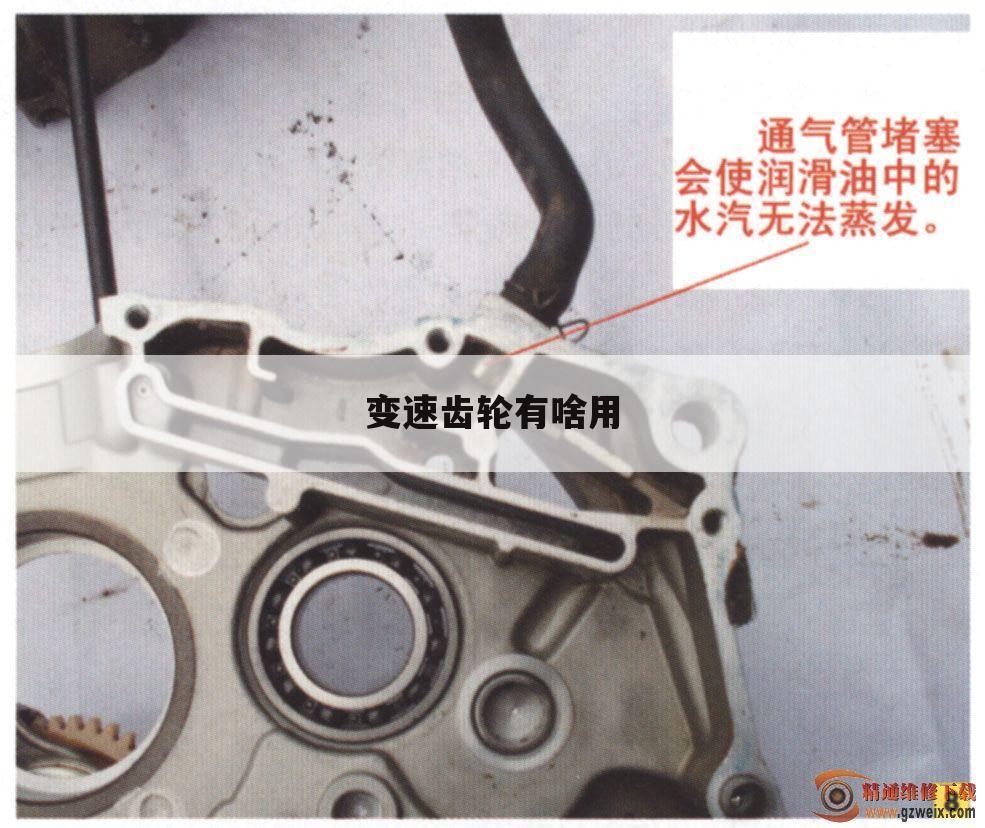 变速齿轮有啥用
