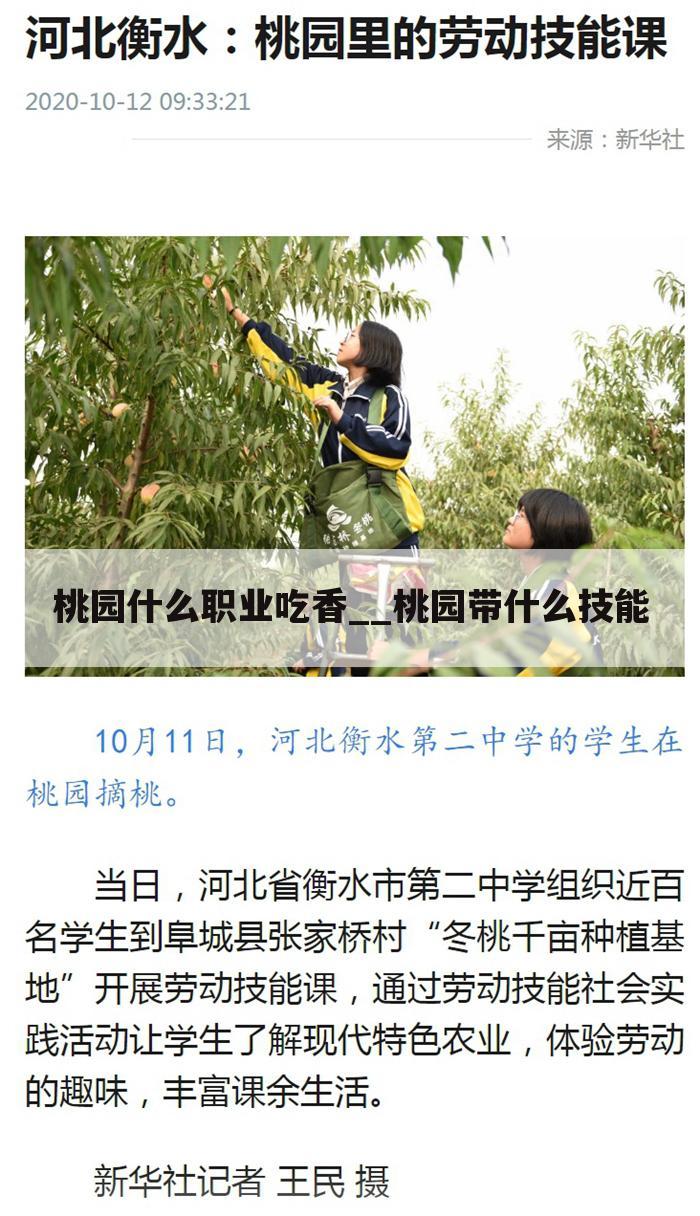 桃园什么职业吃香__桃园带什么技能