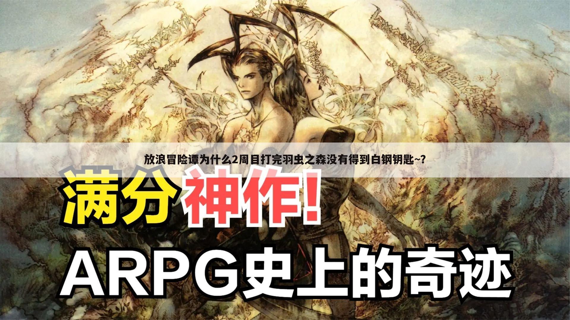 放浪冒险谭为什么2周目打完羽虫之森没有得到白钢钥匙~?