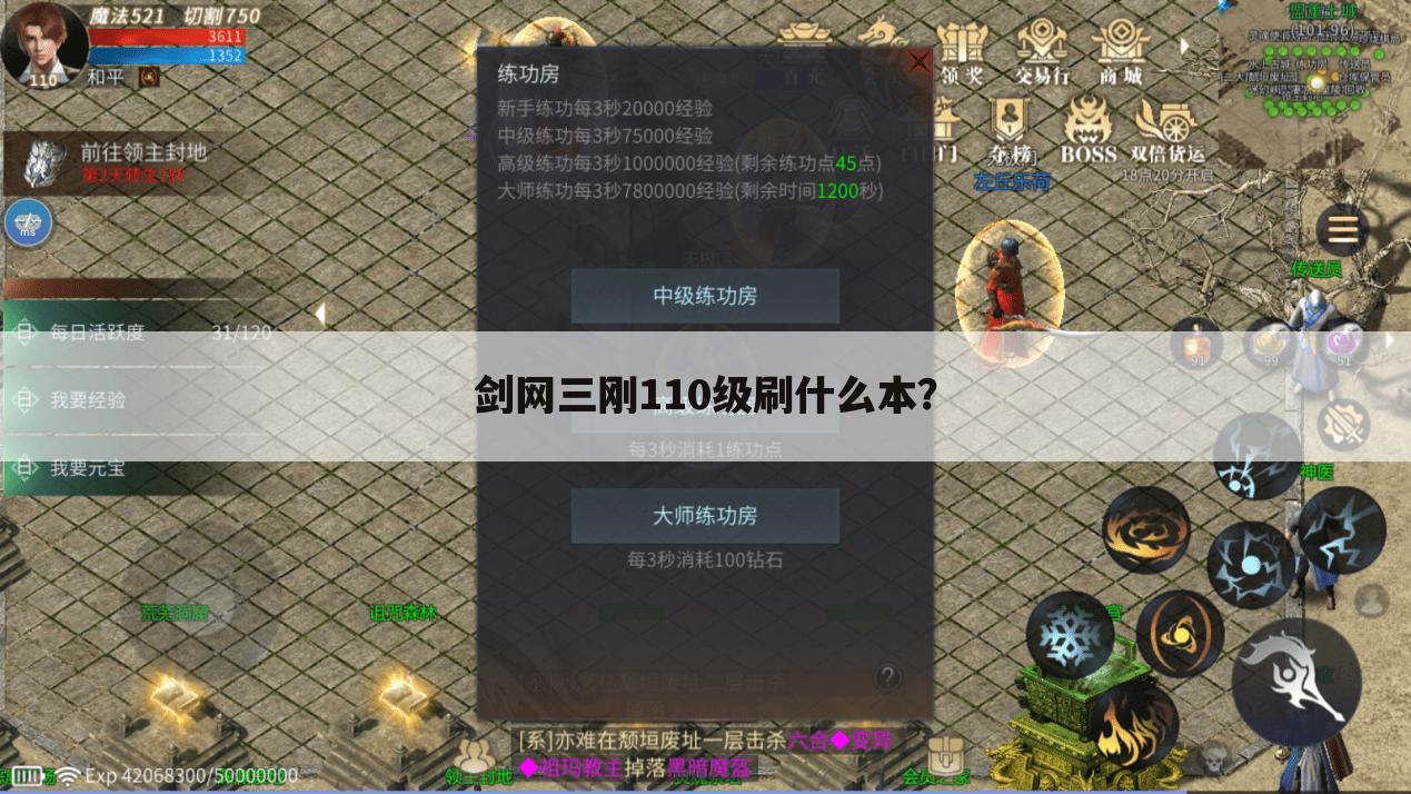 剑网三刚110级刷什么本?