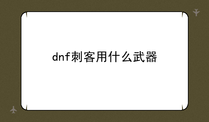 dnf刺客用什么武器