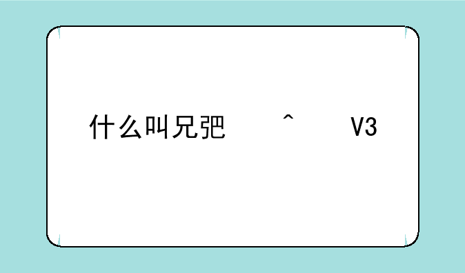 什么叫兄弟无敌版