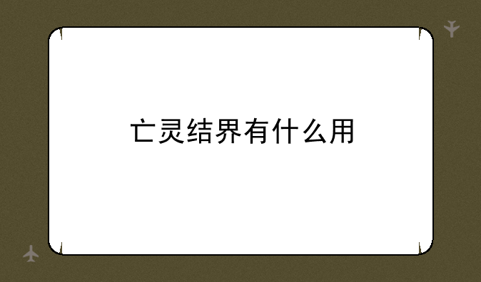 亡灵结界有什么用