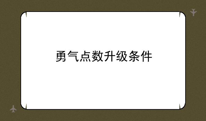 勇气点数升级条件