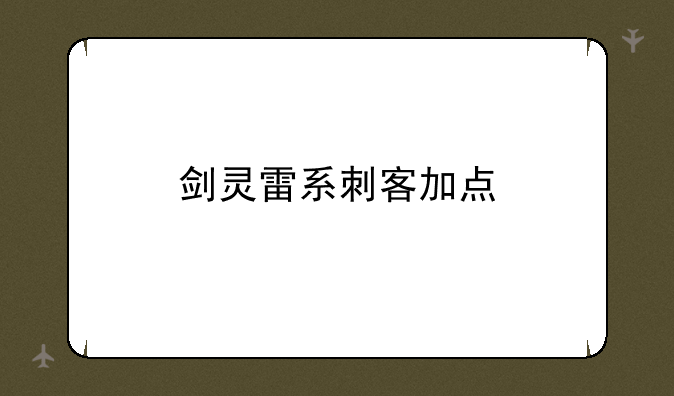 剑灵雷系刺客加点