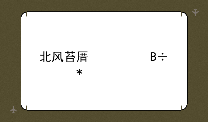 北风苔原部落任务