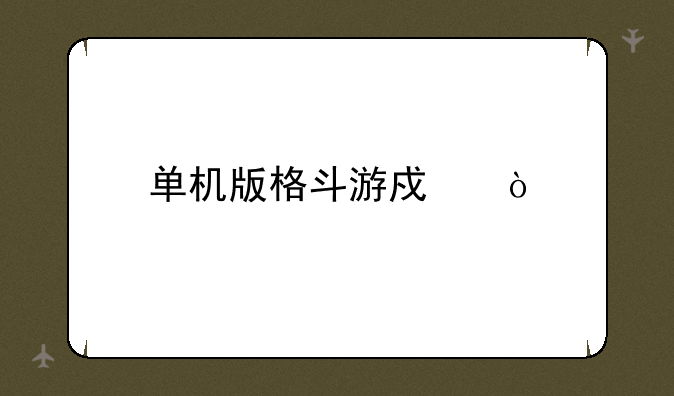 单机版格斗游戏？