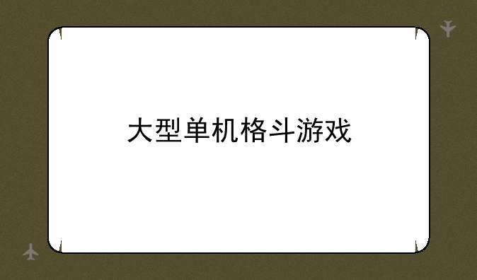 大型单机格斗游戏