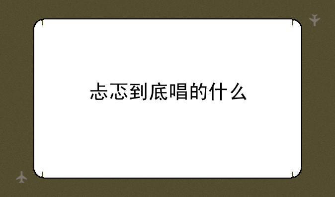 忐忑到底唱的什么
