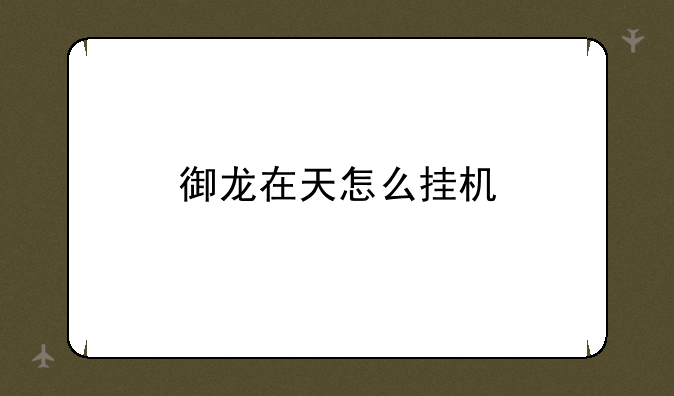 御龙在天怎么挂机