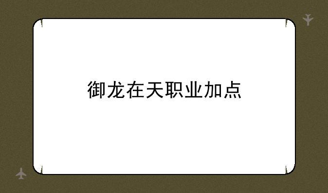 御龙在天职业加点