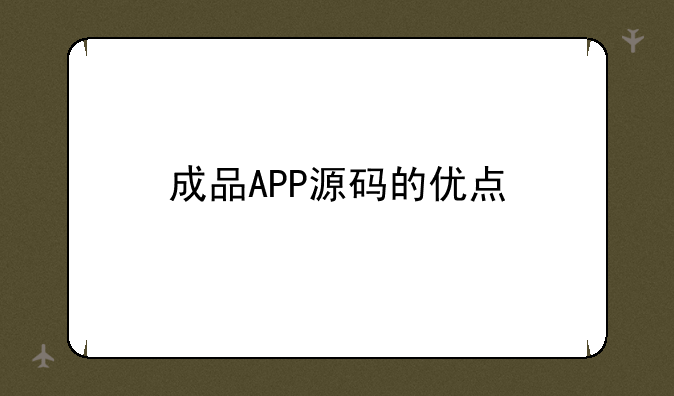成品APP源码的优点
