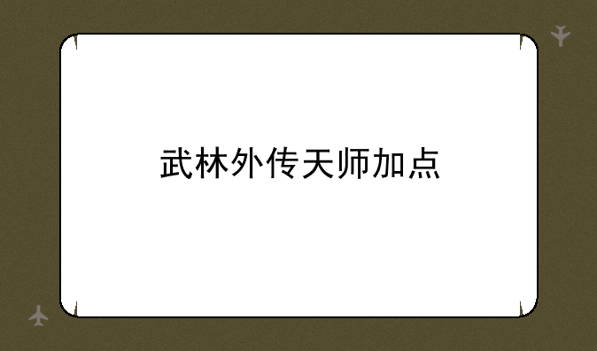 武林外传天师加点