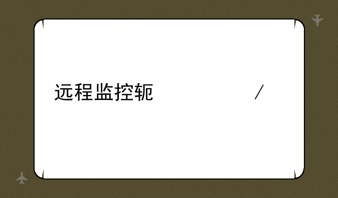 远程监控软件下载