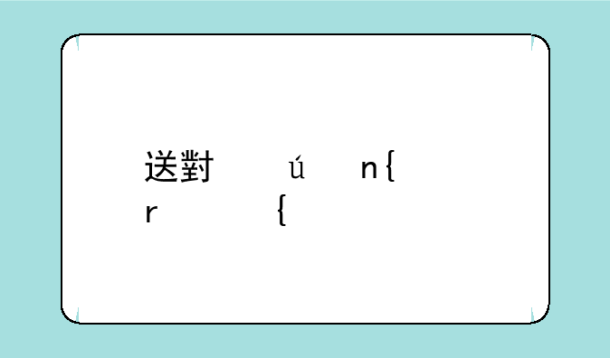 送小羊回家圣诞版