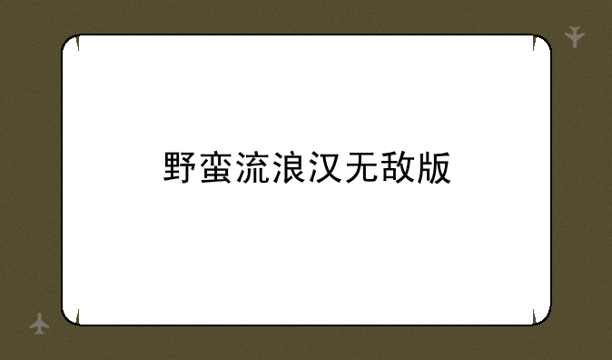 野蛮流浪汉无敌版