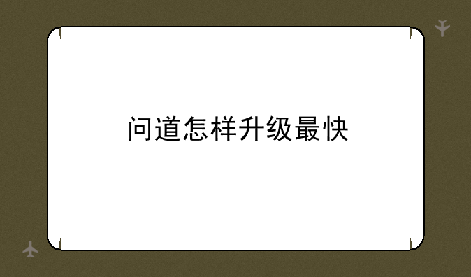 问道怎样升级最快
