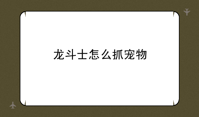 龙斗士怎么抓宠物