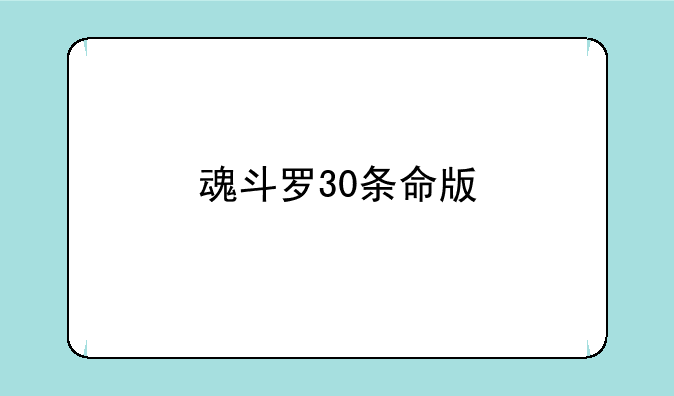 魂斗罗30条命版