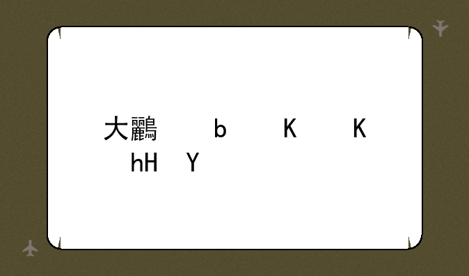 大鸟是什么意思