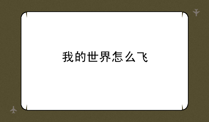 我的世界怎么飞