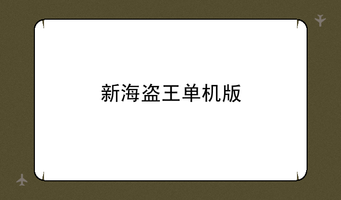 新海盗王单机版