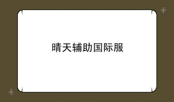 晴天辅助国际服