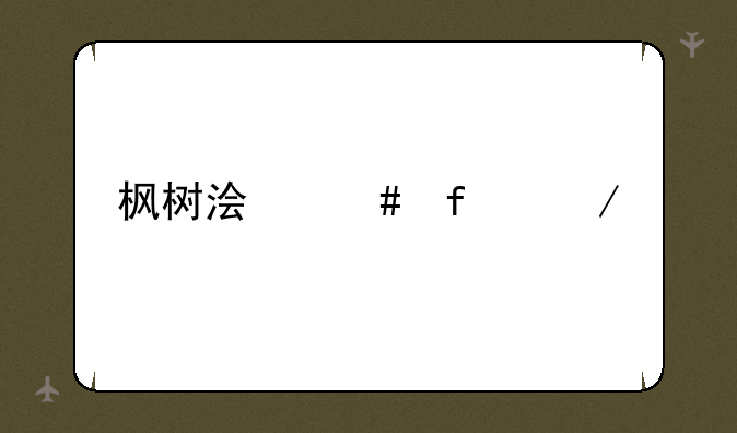 枫树浏览器下载