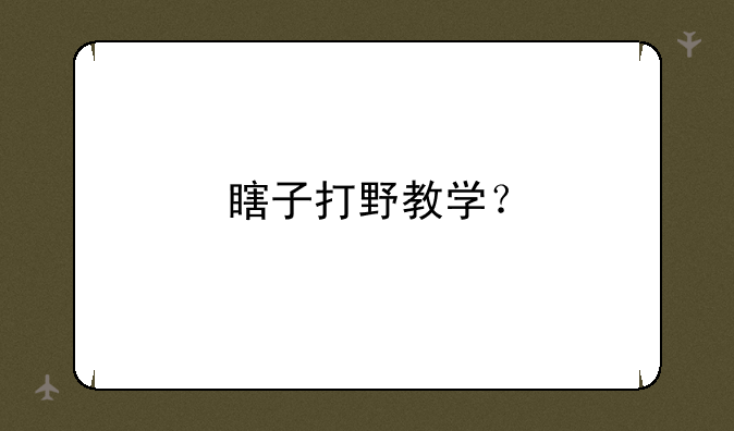瞎子打野教学？