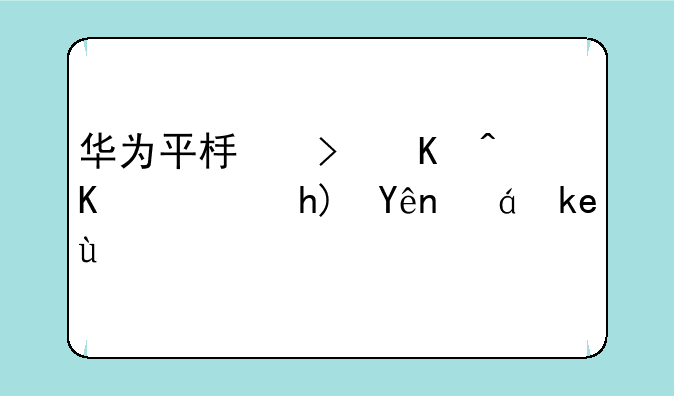 华为平板可以下载悟空识字吗
