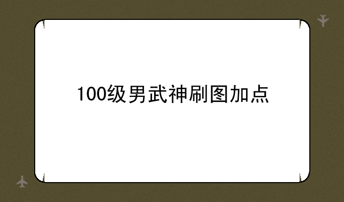 100级男武神刷图加点