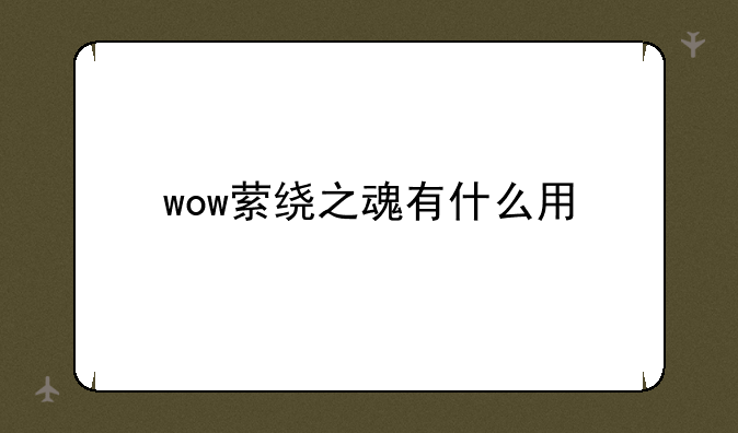wow萦绕之魂有什么用
