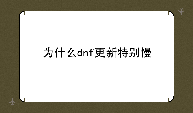 为什么dnf更新特别慢