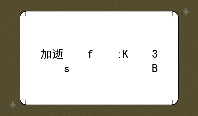 加速器排行榜第一名