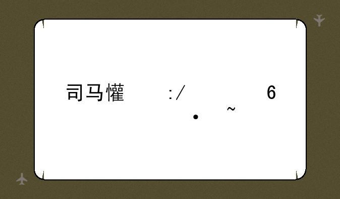司马懿王者荣耀语音