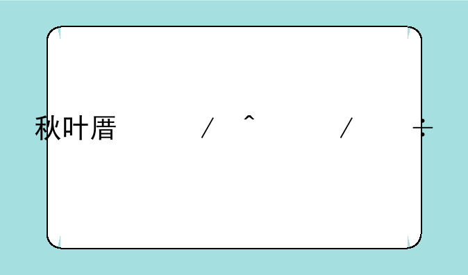 秋叶原之旅下载手机