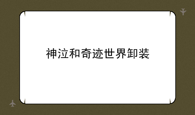 神泣和奇迹世界卸装