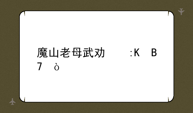 魔山老母武功排名？