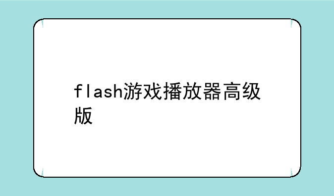 flash游戏播放器高级版
