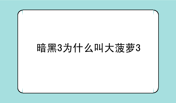 暗黑3为什么叫大菠萝3