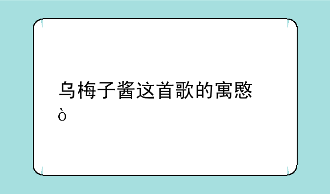 乌梅子酱这首歌的寓意？